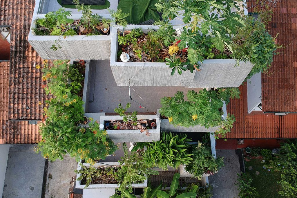 7_bod-living_planter-box-house_formzero_1_ph-ameen-deen_1100x733